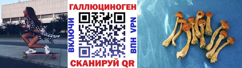 Купить закладки  Ворсма  Галлюциногенные грибы ЛСД 