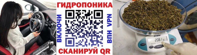 Купить  Ворсма  Бошки Шишки VHQ 